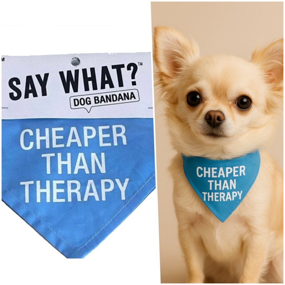 Nordstrom Dog Puppy Bandana Blue Small Medium